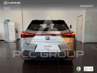 2021 Lexus UX250