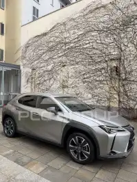 2021 Lexus UX250