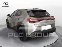 2021 Lexus UX250