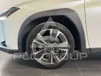 2021 Lexus UX250