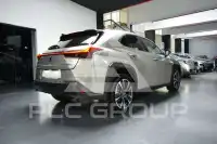 2021 Lexus UX250
