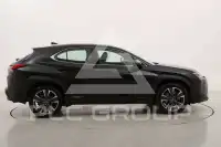 2021 Lexus UX250