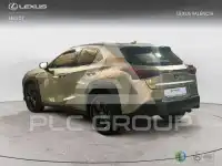 2021 Lexus UX250