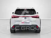 2021 Lexus UX250