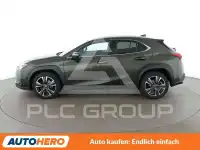 2021 Lexus UX250
