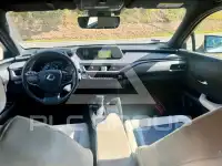 2021 Lexus UX250
