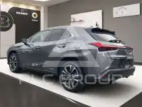 2021 Lexus UX250