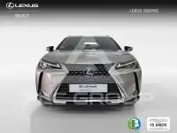 2021 Lexus UX250