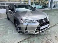 2021 Lexus UX250
