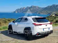 2021 Lexus UX250