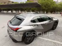 2021 Lexus UX250