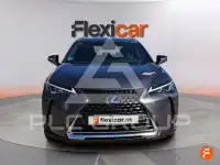 2021 Lexus UX250