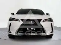 2021 Lexus UX250