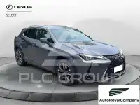 2021 Lexus UX250