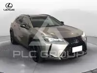 2021 Lexus UX250