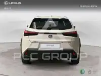 2021 Lexus UX250