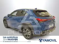 2021 Lexus UX250