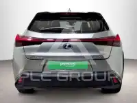 2021 Lexus UX250