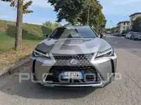 2021 Lexus UX250