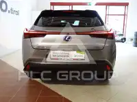 2021 Lexus UX250