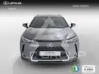 2021 Lexus UX250