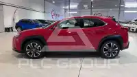 2021 Lexus UX250