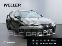2021 Lexus UX250