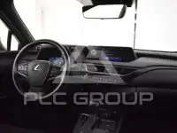 2021 Lexus UX250