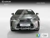 2021 Lexus UX250