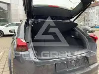 2021 Lexus UX250
