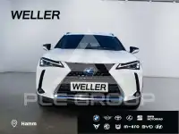 2021 Lexus UX250