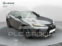 2021 Lexus UX250