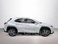 2021 Lexus UX250