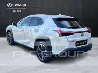 2021 Lexus UX250