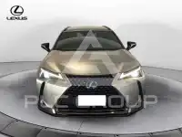 2021 Lexus UX250