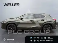 2021 Lexus UX250