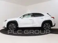 2021 Lexus UX250