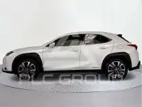 2021 Lexus UX250