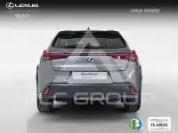 2021 Lexus UX250