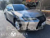 2021 Lexus UX250