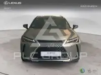 2021 Lexus UX250
