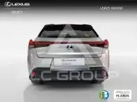 2021 Lexus UX250