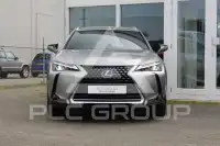 2021 Lexus UX250