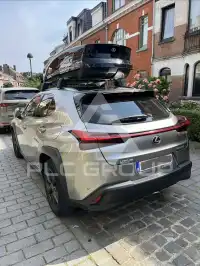 2021 Lexus UX250