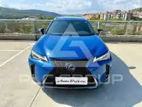 2021 Lexus UX250