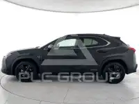 2021 Lexus UX250