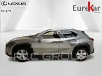2021 Lexus UX250