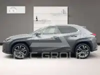 2021 Lexus UX250