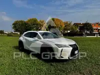 2021 Lexus UX250