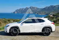 2021 Lexus UX250